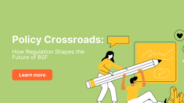 Policy Crossroads: How Regulation Shapes the Future of BSF