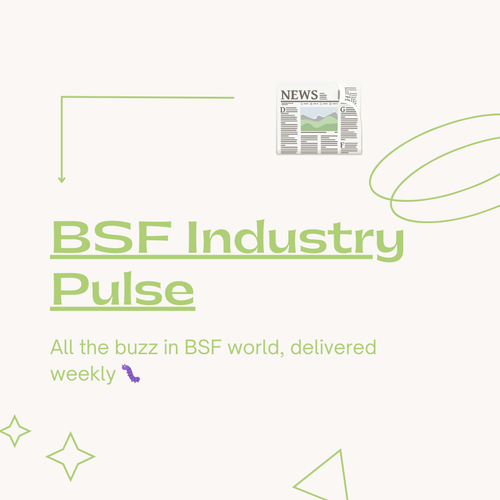 BSF Industry Pulse #01